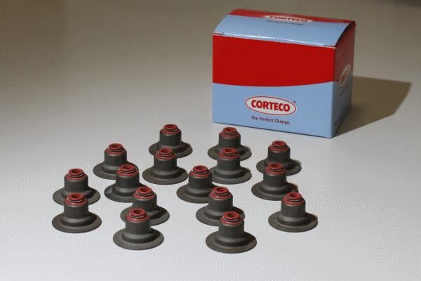 CORTECO 19036875 Seal set, valve stem