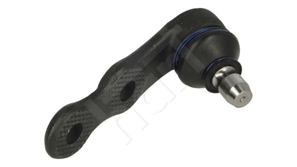 Šarnyras / girgždukas-1