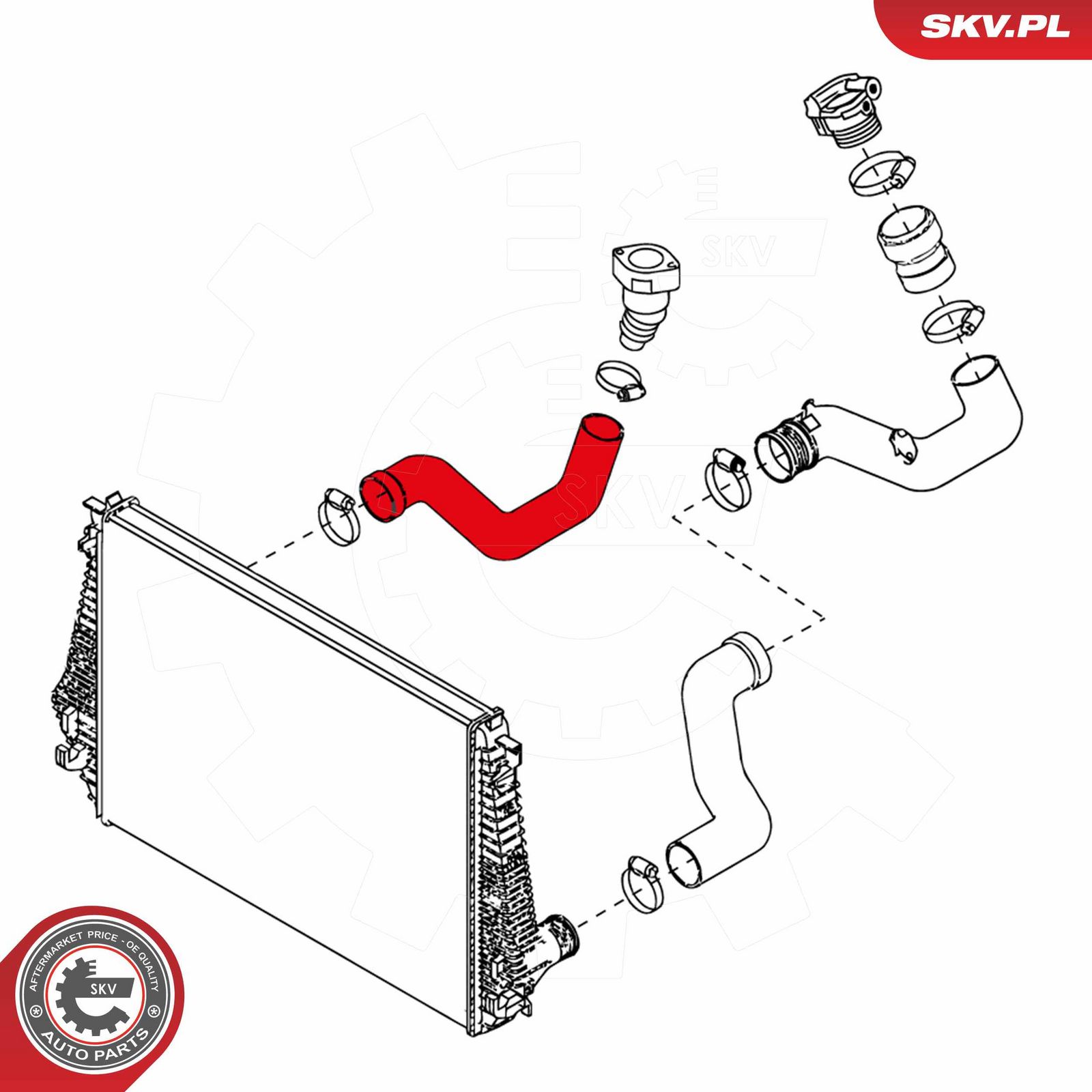 Charge Air Hose-1