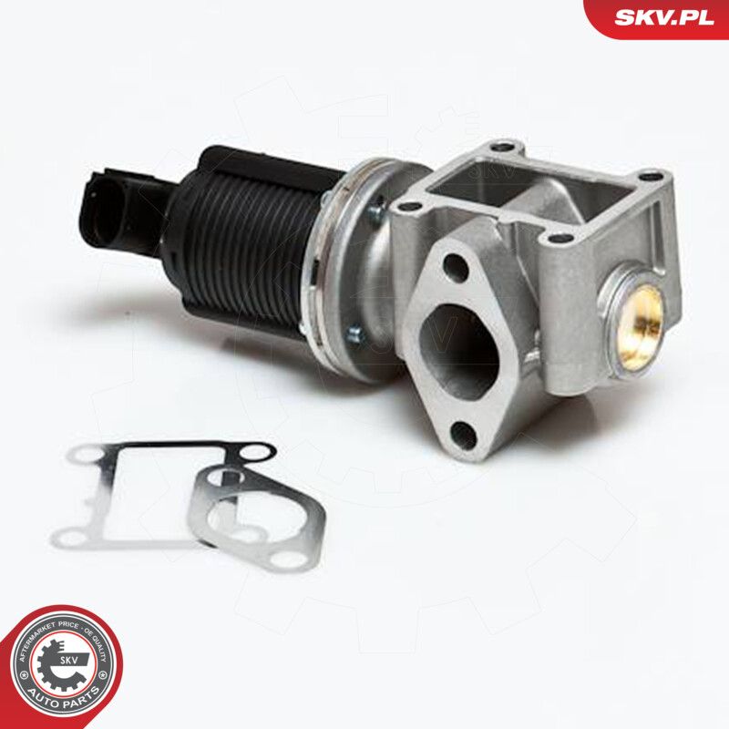 EGR Valve