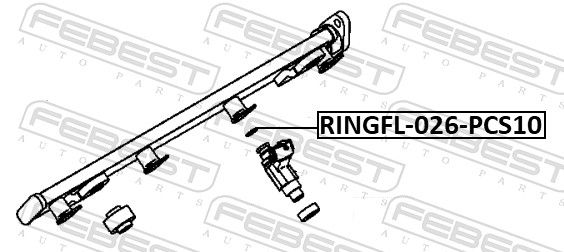 Seal Ring, injector-1