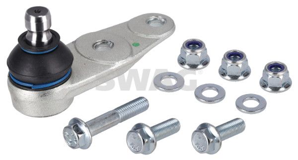 Šarnyras / girgždukas