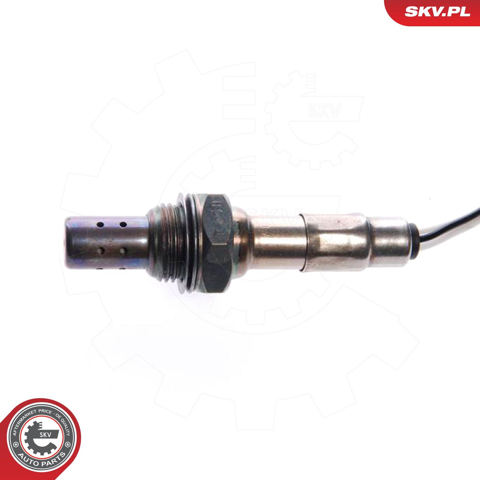 Oxygen Sensor-1