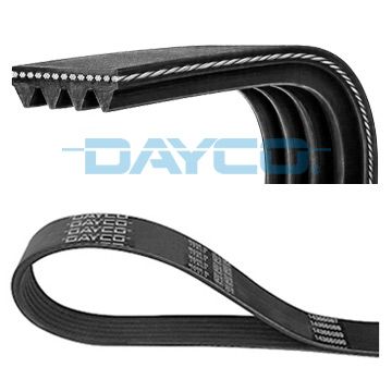 V-ribbed Belt