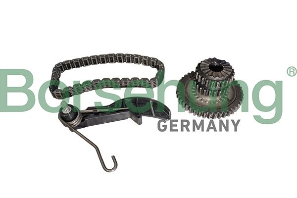 BORSEHUNG B10218 Chain kit, oil pump drive