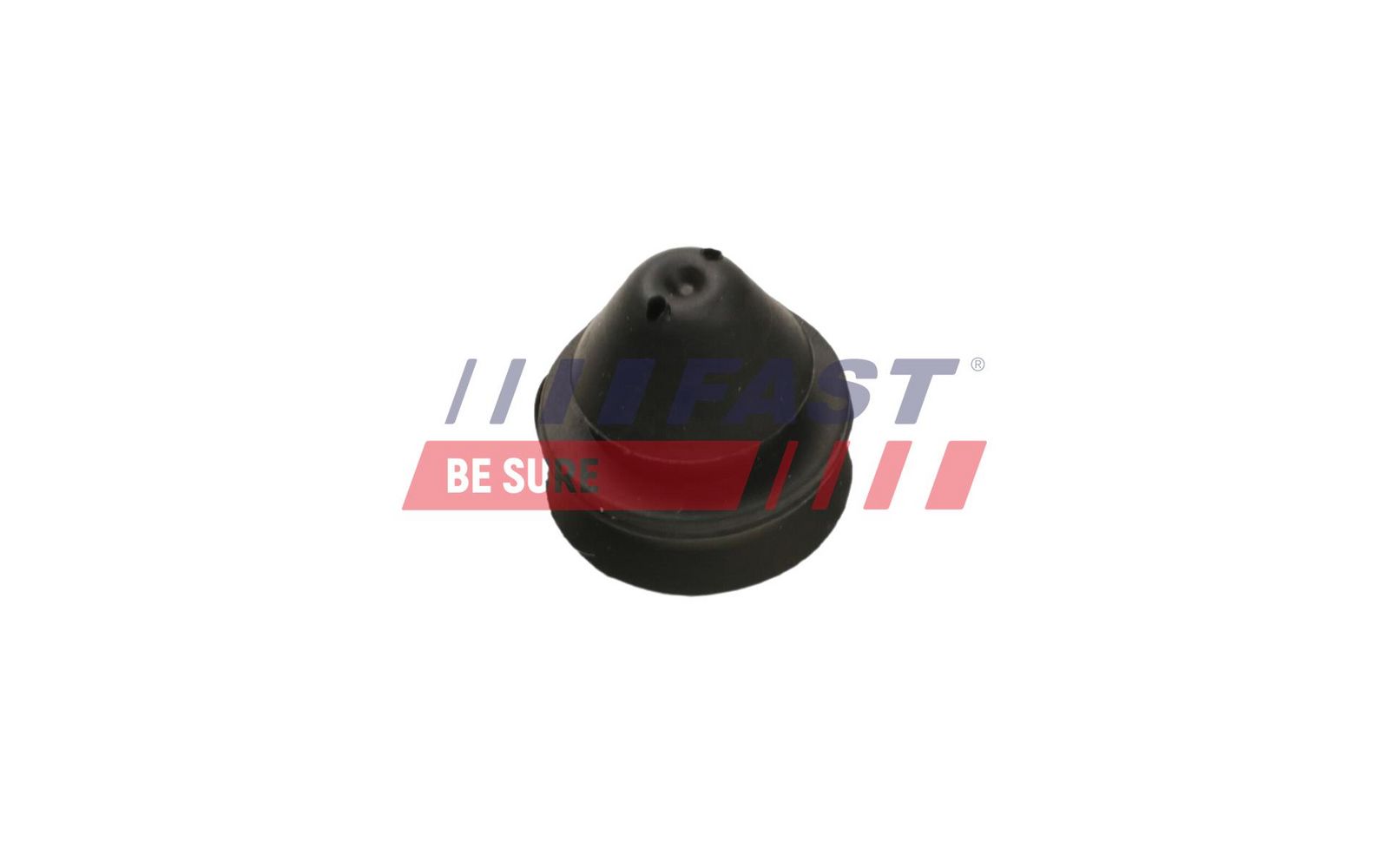 FAST FT55811 Mounting, radiator