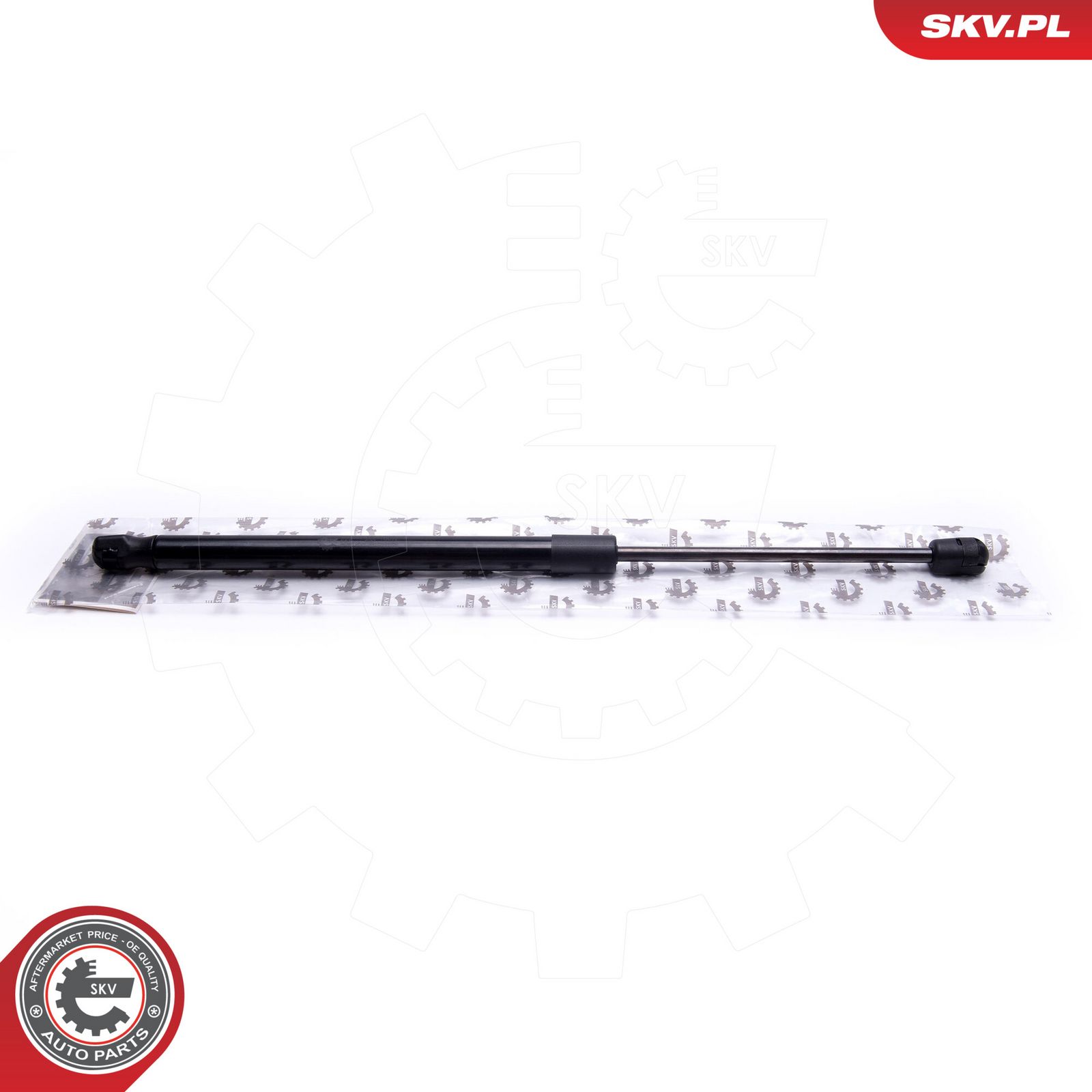 Gas Spring, boot/cargo area