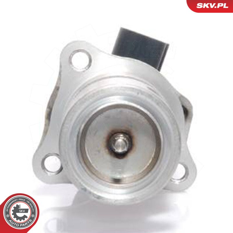 EGR Valve-2