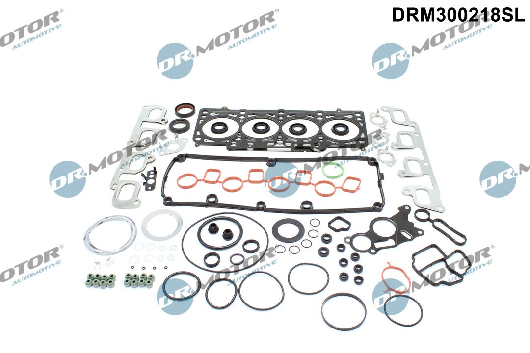 DR.MOTOR AUTOMOTIVE DRM300218SL Gasket kit, cylinder head