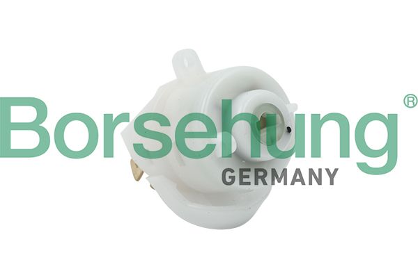 BORSEHUNG B17987 Ignition switch