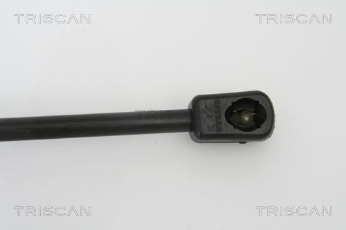 Gas Spring, boot/cargo area-2