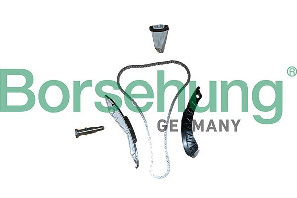 BORSEHUNG B13290 Timing chain kit