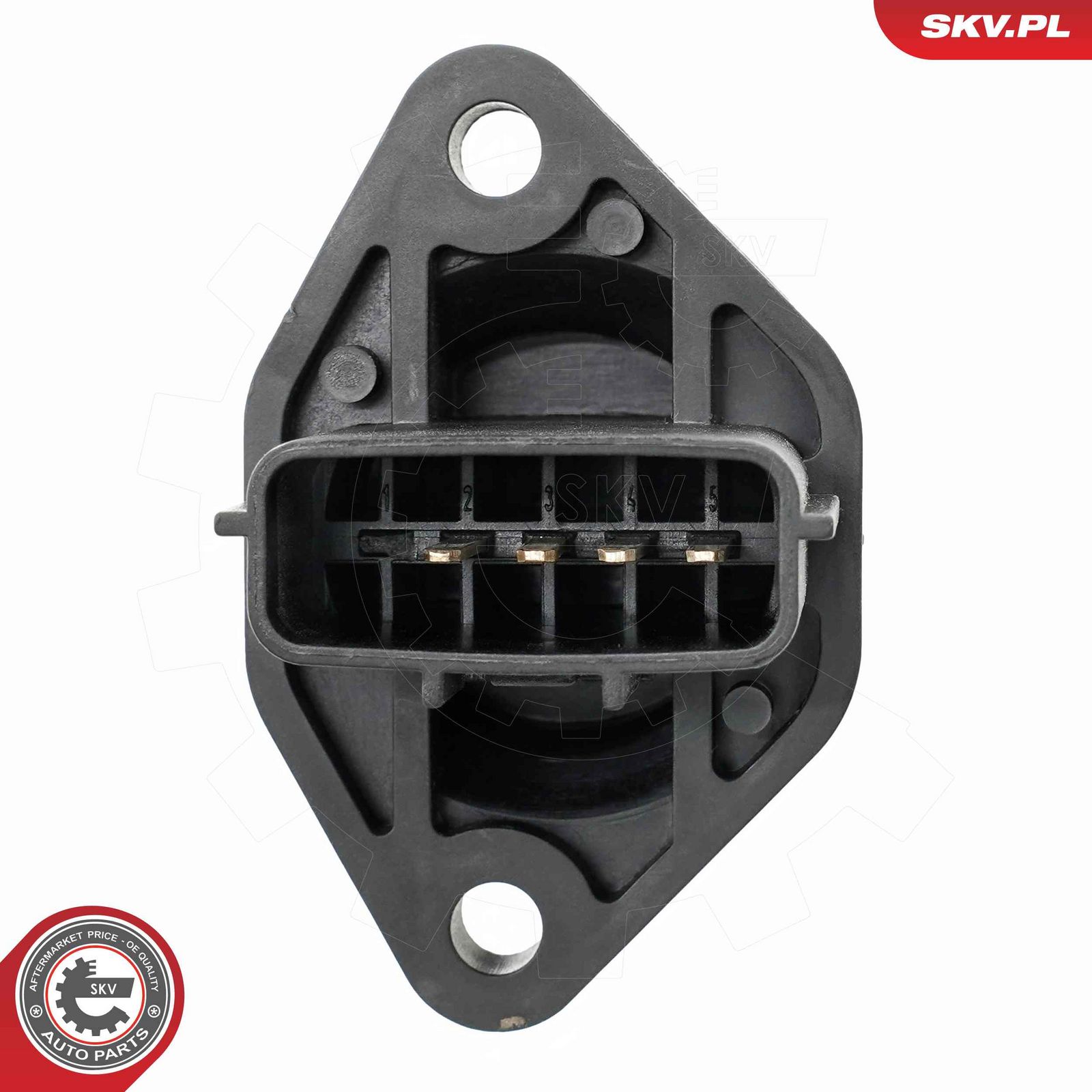 Mass Air Flow Sensor-1