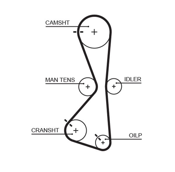 GATES 5609XS Timing belt