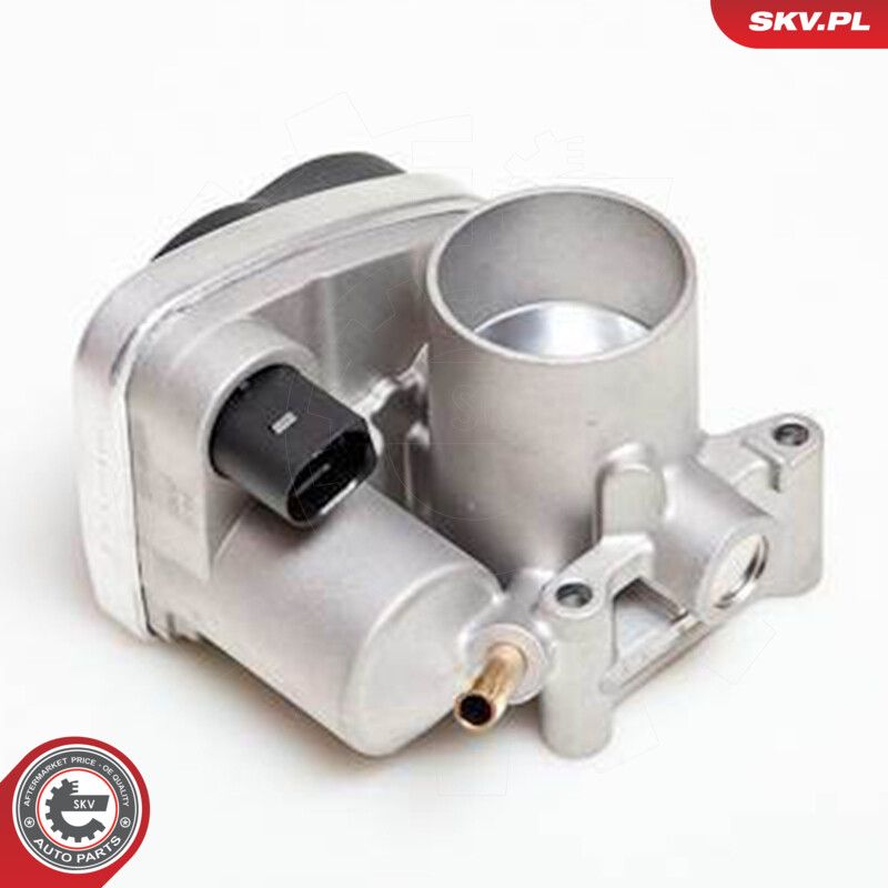 ESEN SKV 12SKV029 Throttle body