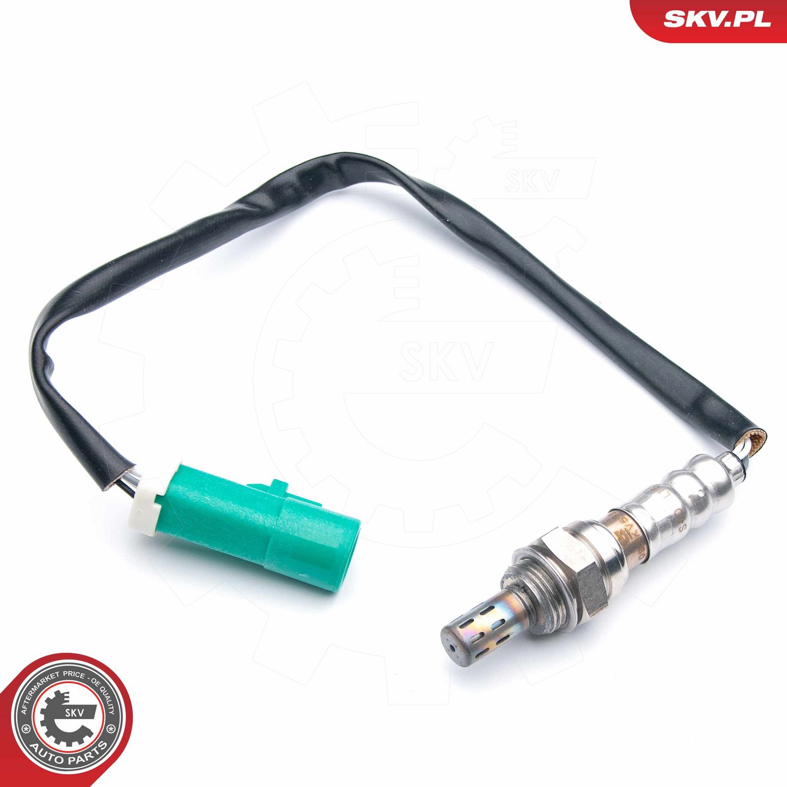 Oxygen Sensor-2