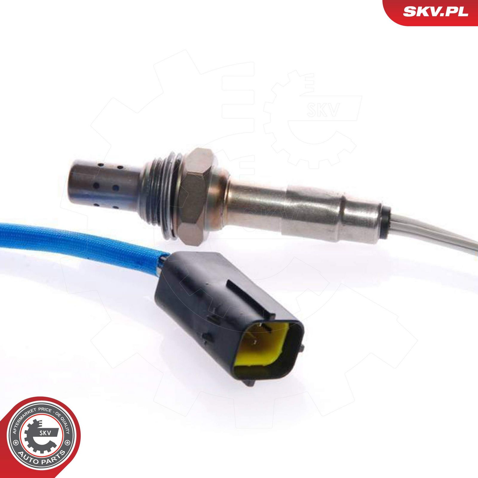 Oxygen Sensor