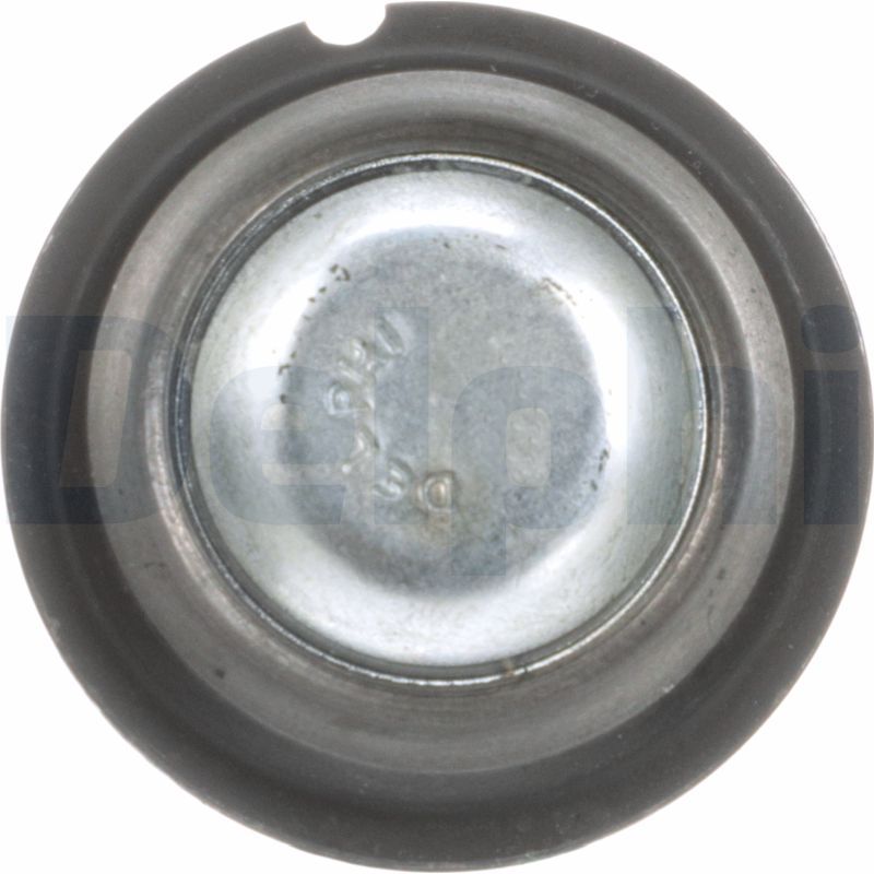 Šarnyras / girgždukas-2