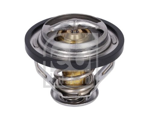 termostatas, aušinimo skystis