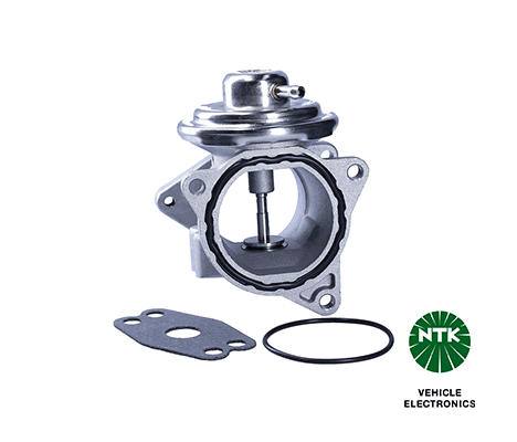 EGR Valve-1
