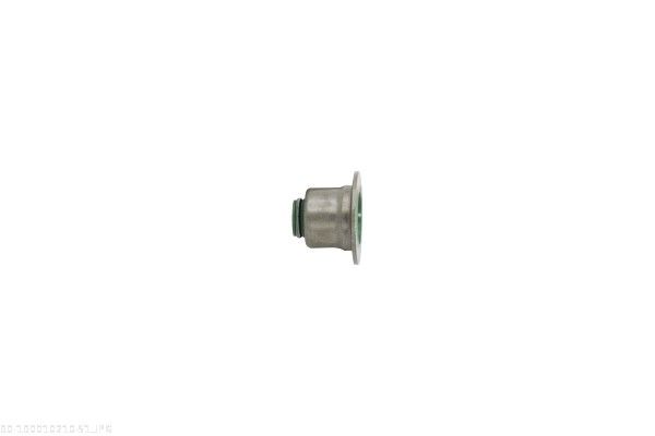 Seal Ring, valve stem-2