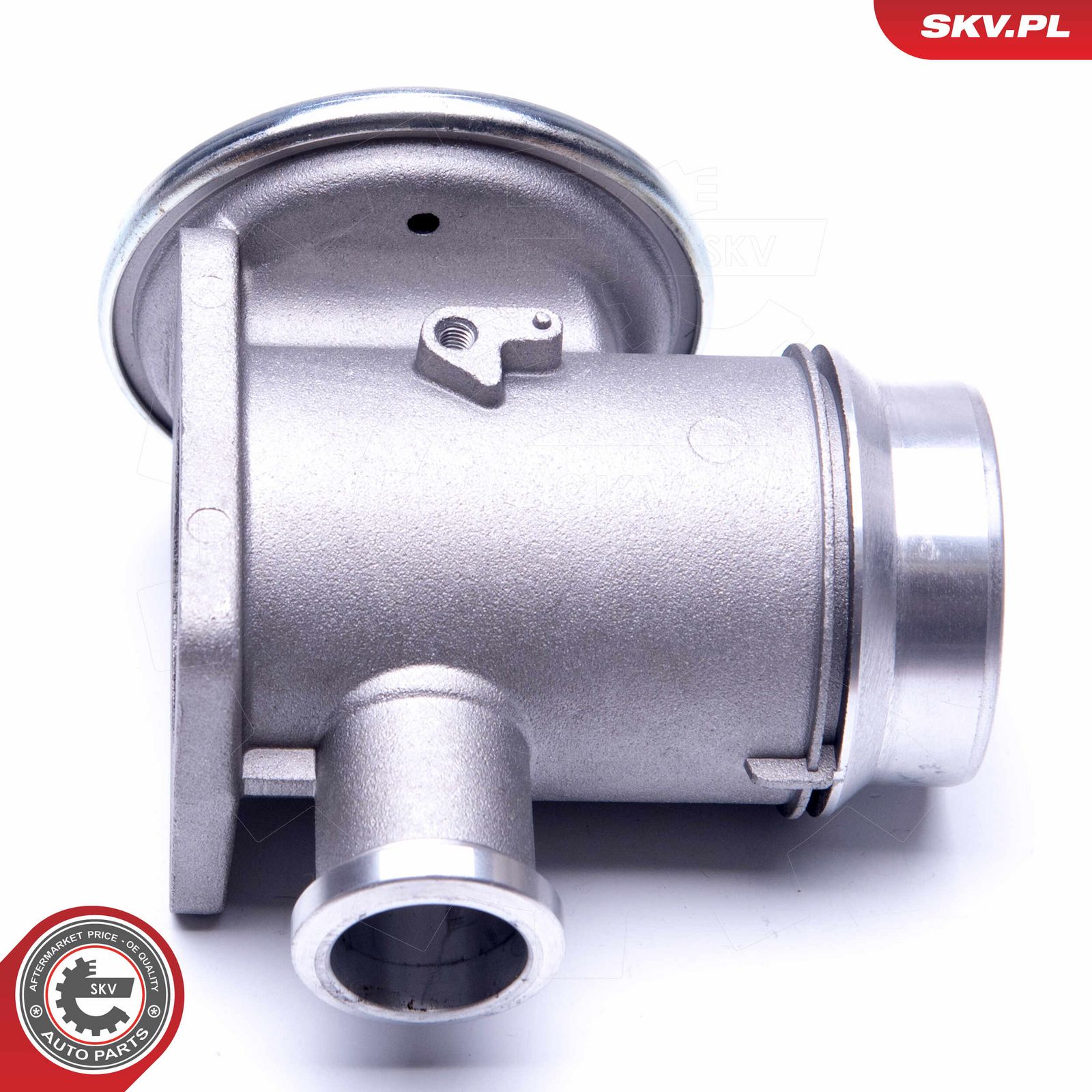 EGR Valve-main