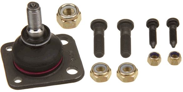 Šarnyras / girgždukas