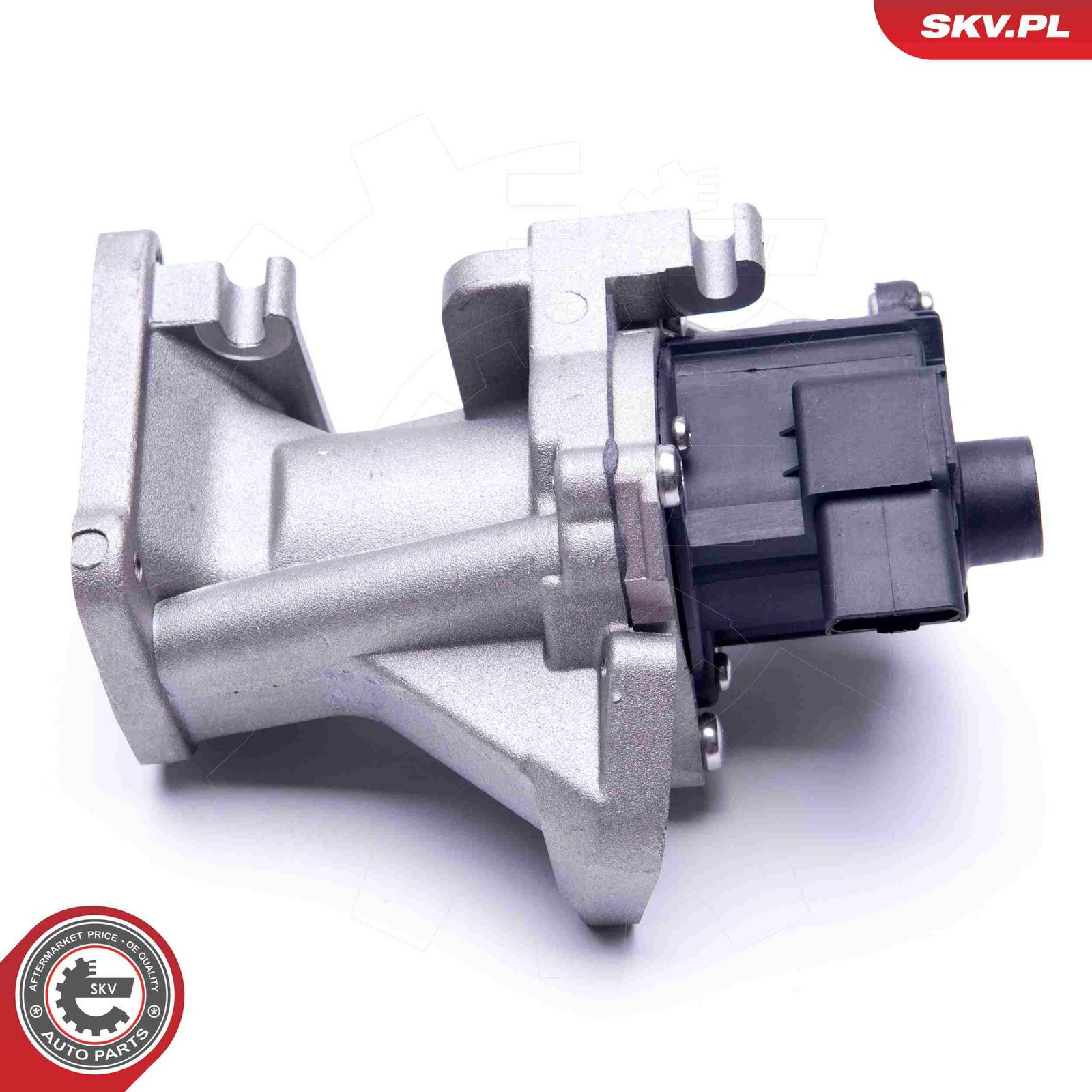 EGR Valve-2
