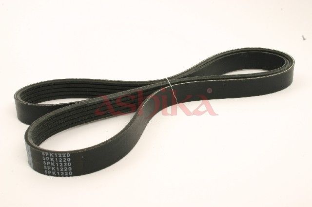 ASHIKA 112-5PK1220 V-ribbed belt