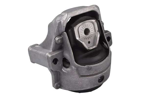 TEDGUM 00058470 Mounting, engine