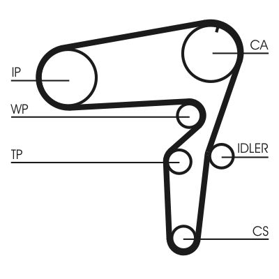 Water Pump & Timing Belt Kit-1