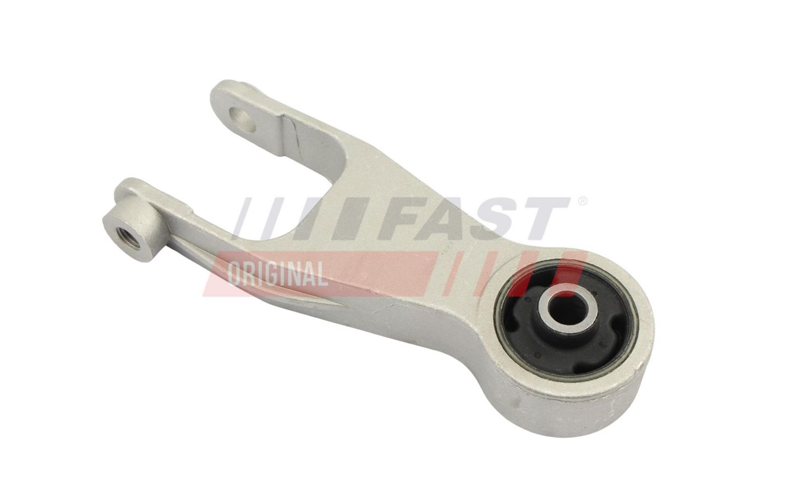 FAST FT10176 Mounting, engine
