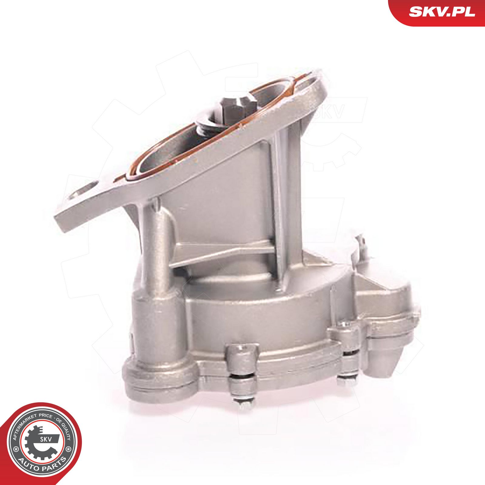 ESEN SKV 18SKV006 Vacuum pump, braking system