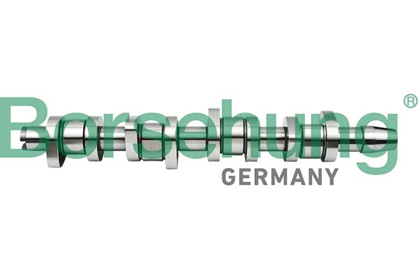 BORSEHUNG B17861 Camshaft