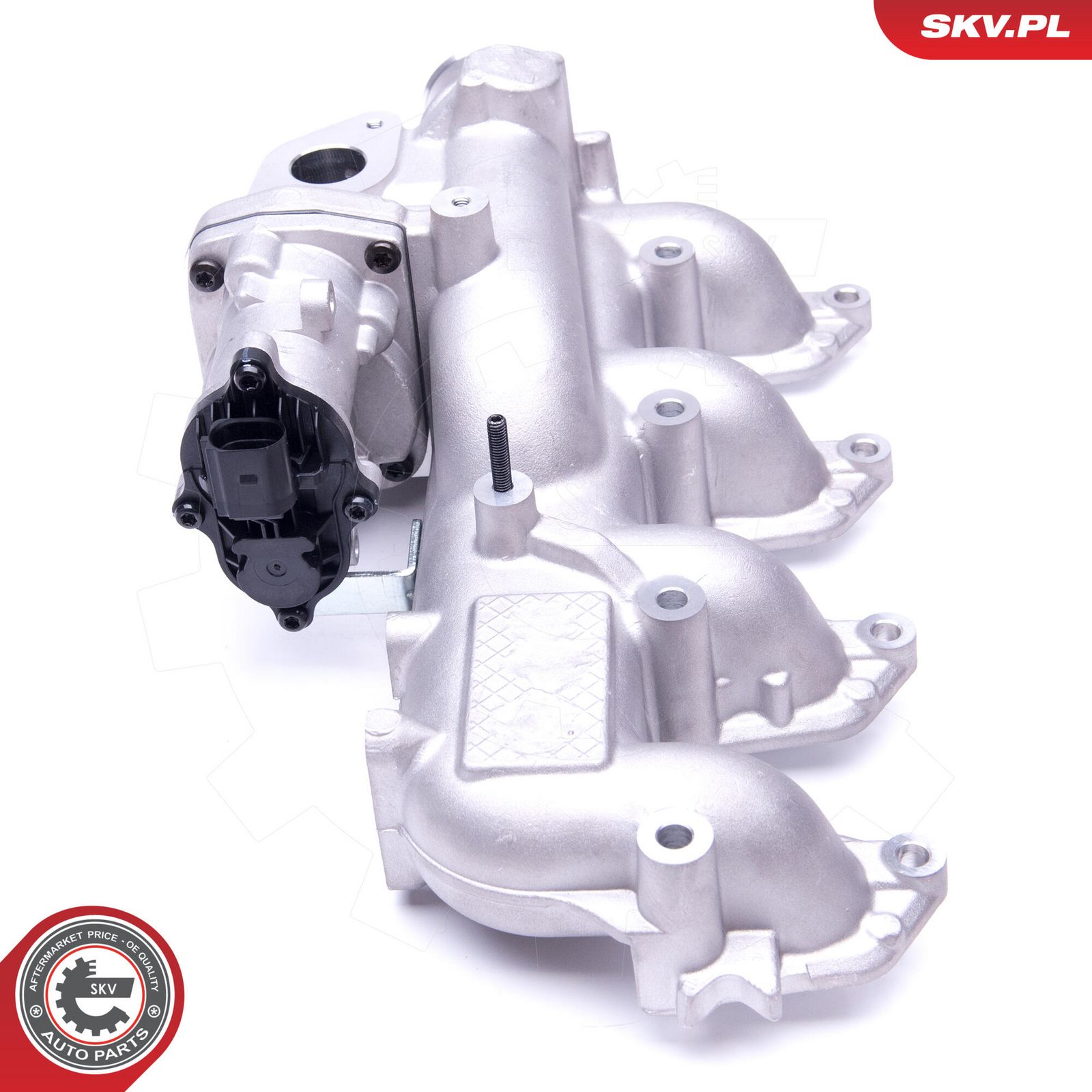 EGR Valve-2
