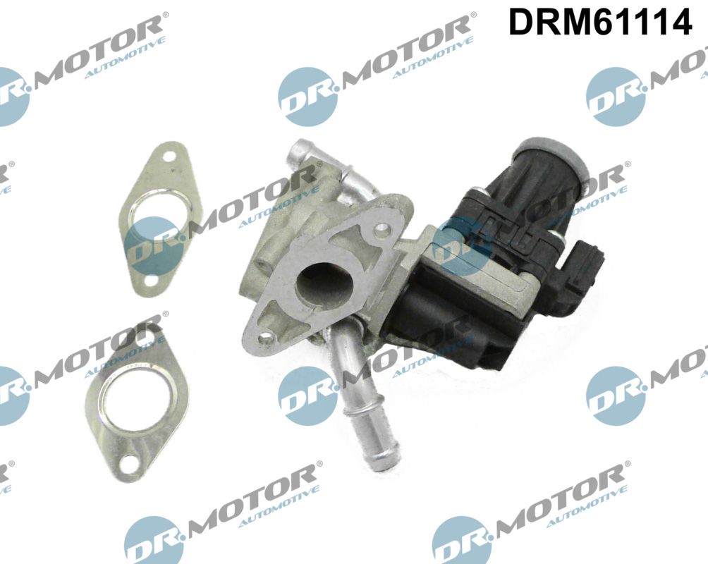 DR.MOTOR AUTOMOTIVE DRM61114 Egr valve