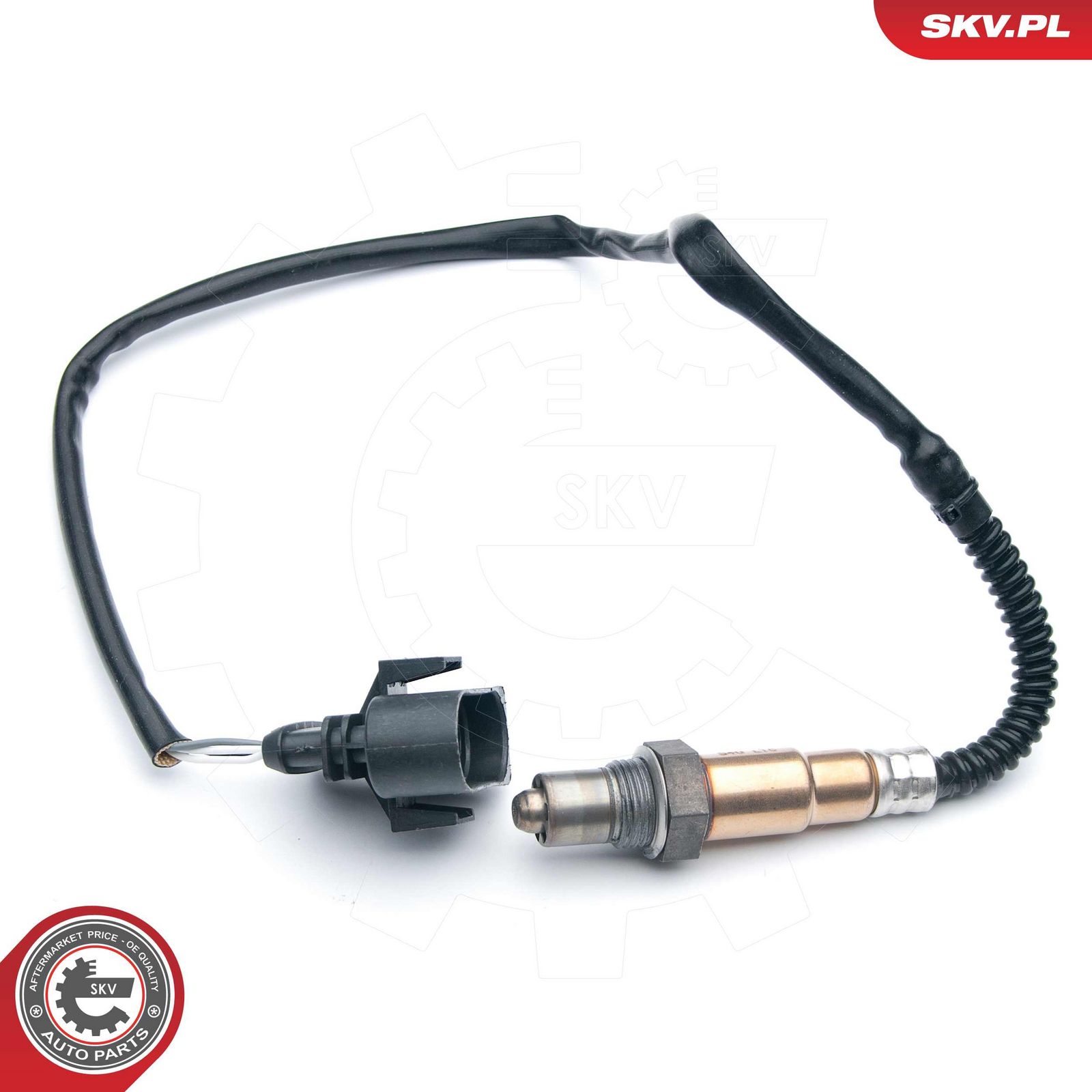 Oxygen Sensor-1