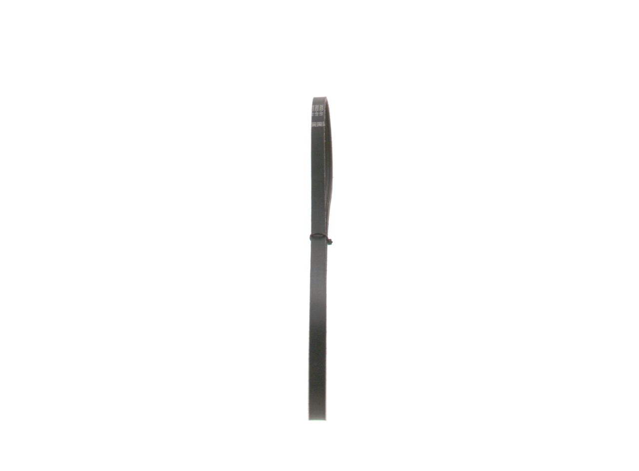 V-ribbed Belt-3