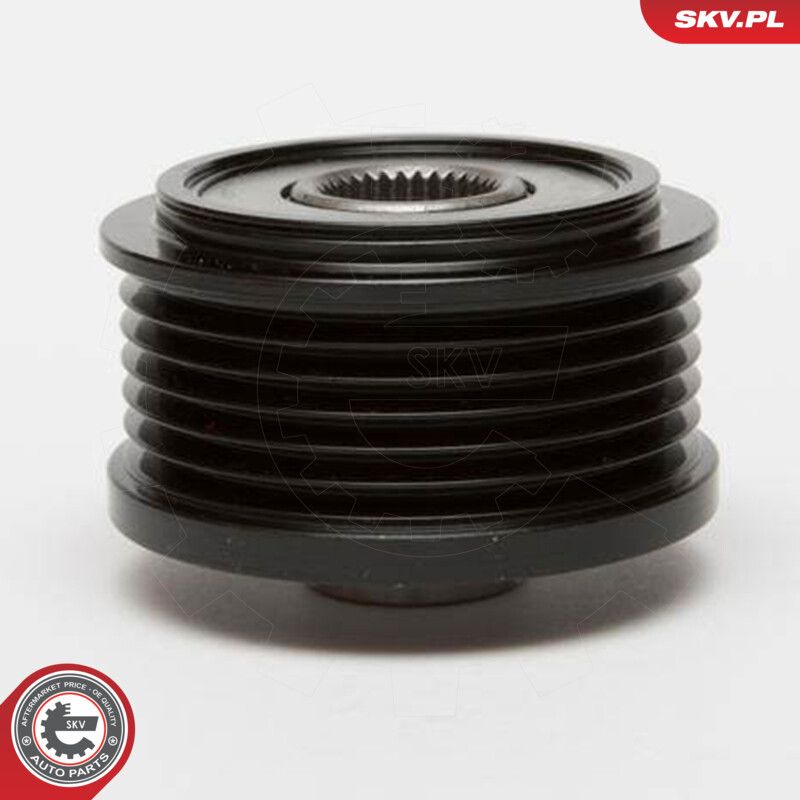 Alternator Freewheel Clutch-2