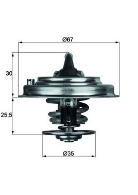 Thermostat, coolant