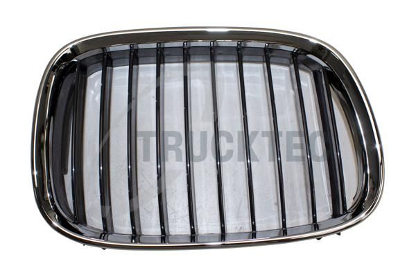 TRUCKTEC AUTOMOTIVE 08.62.250 Radiator grille