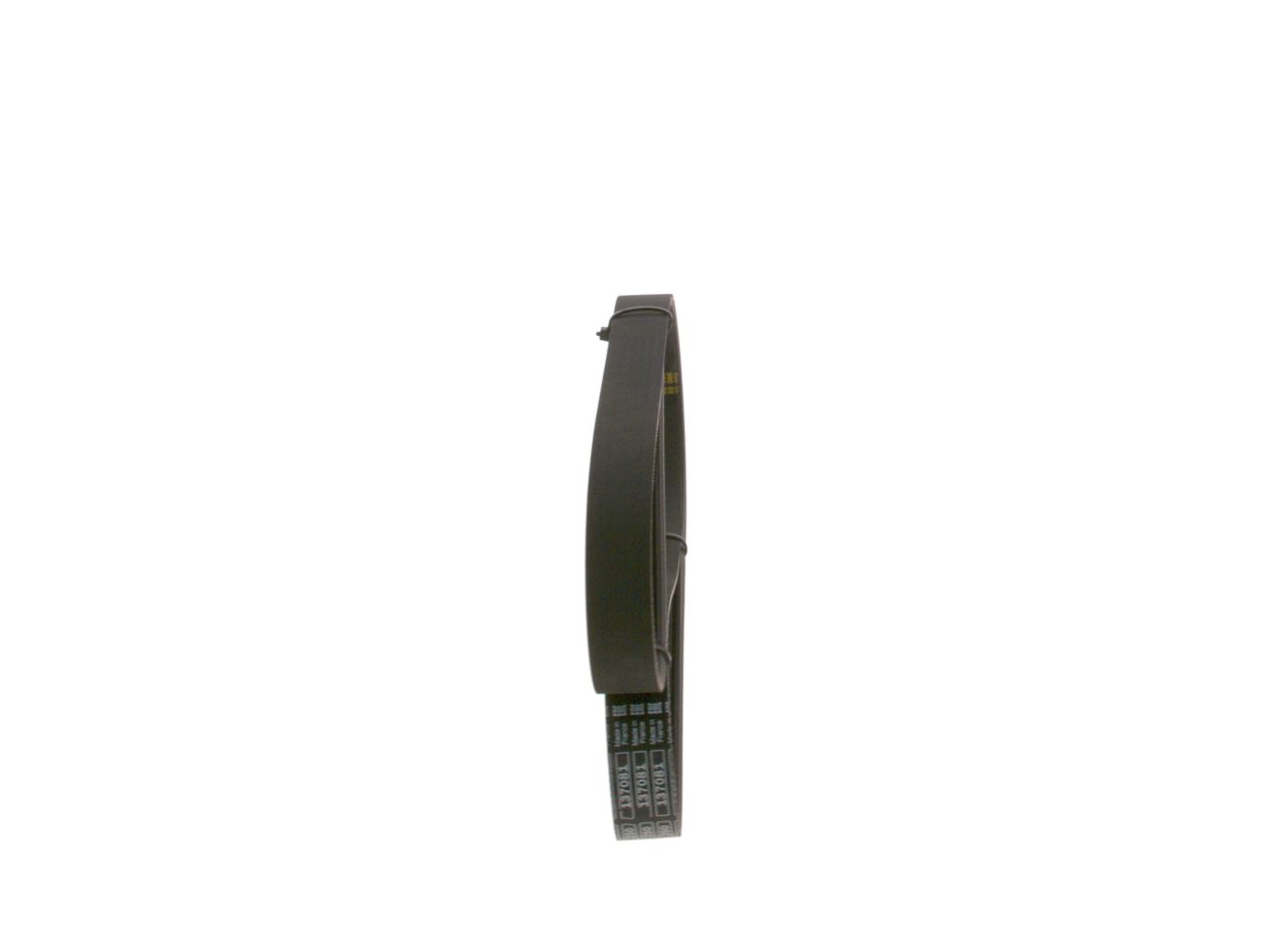 V-ribbed Belt-1