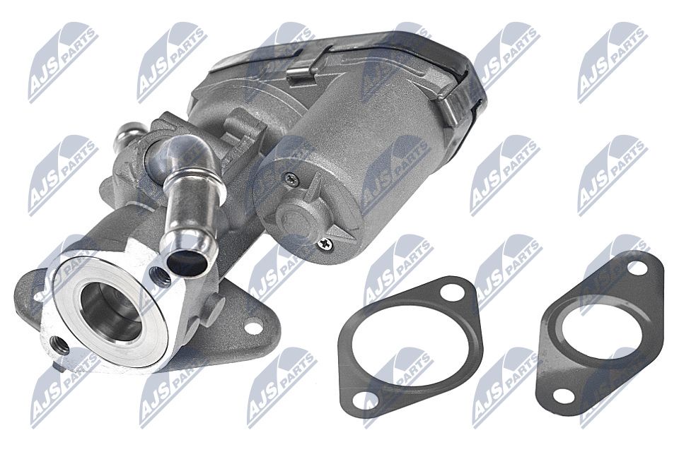 EGR Valve-1