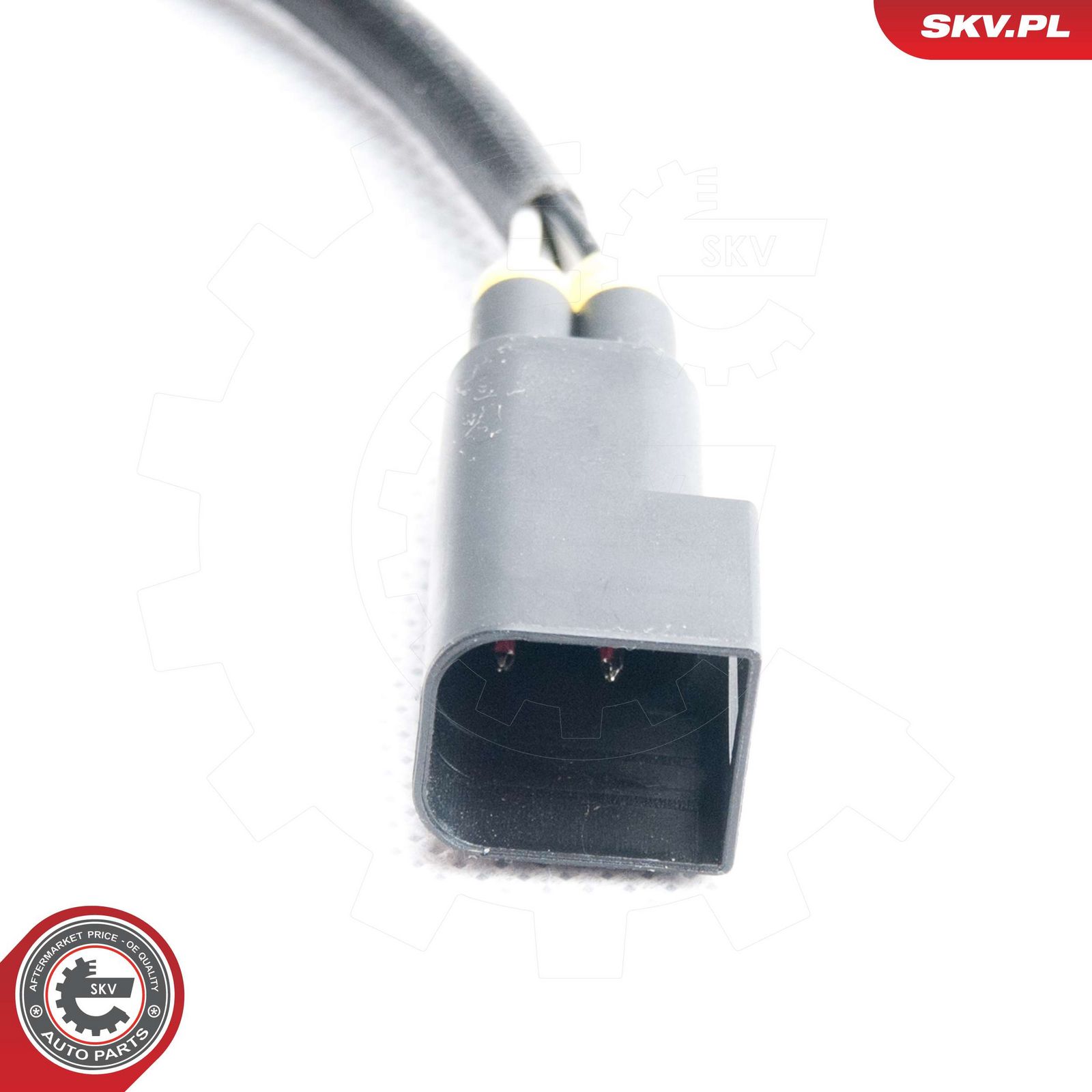 Oxygen Sensor-2