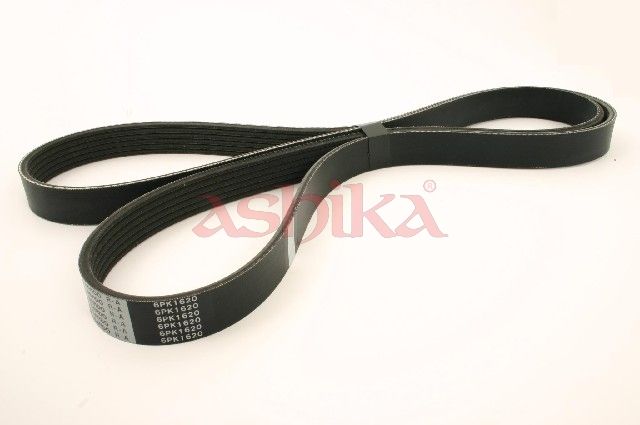 ASHIKA 112-6PK1620 V-ribbed belt
