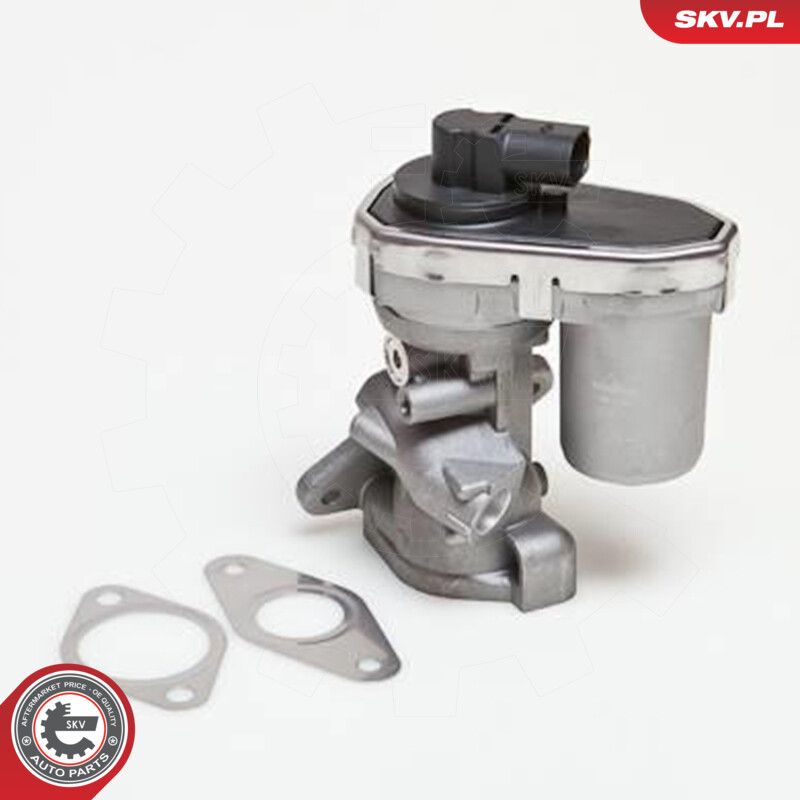 ESEN SKV 14SKV038 Egr valve
