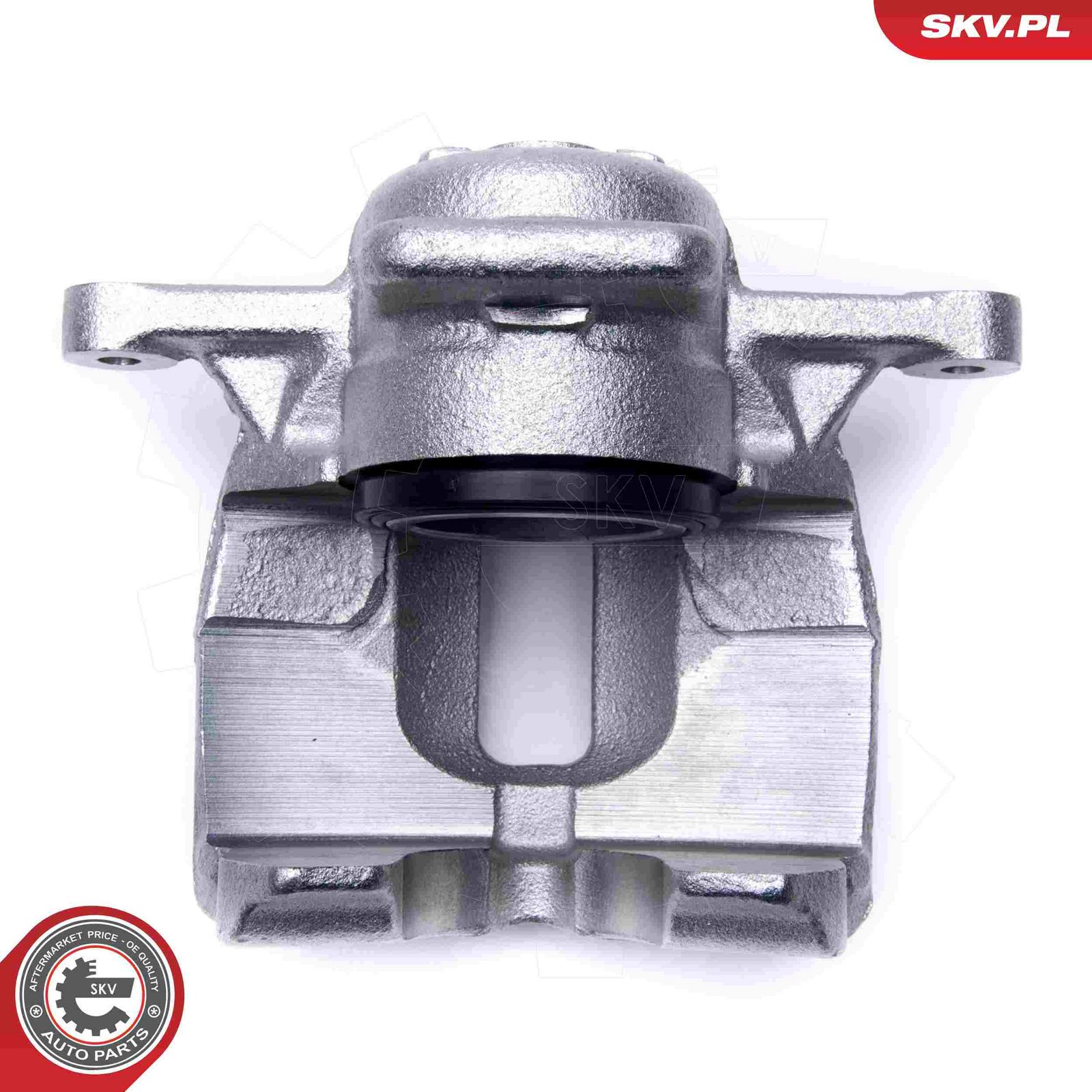 Brake Caliper-2
