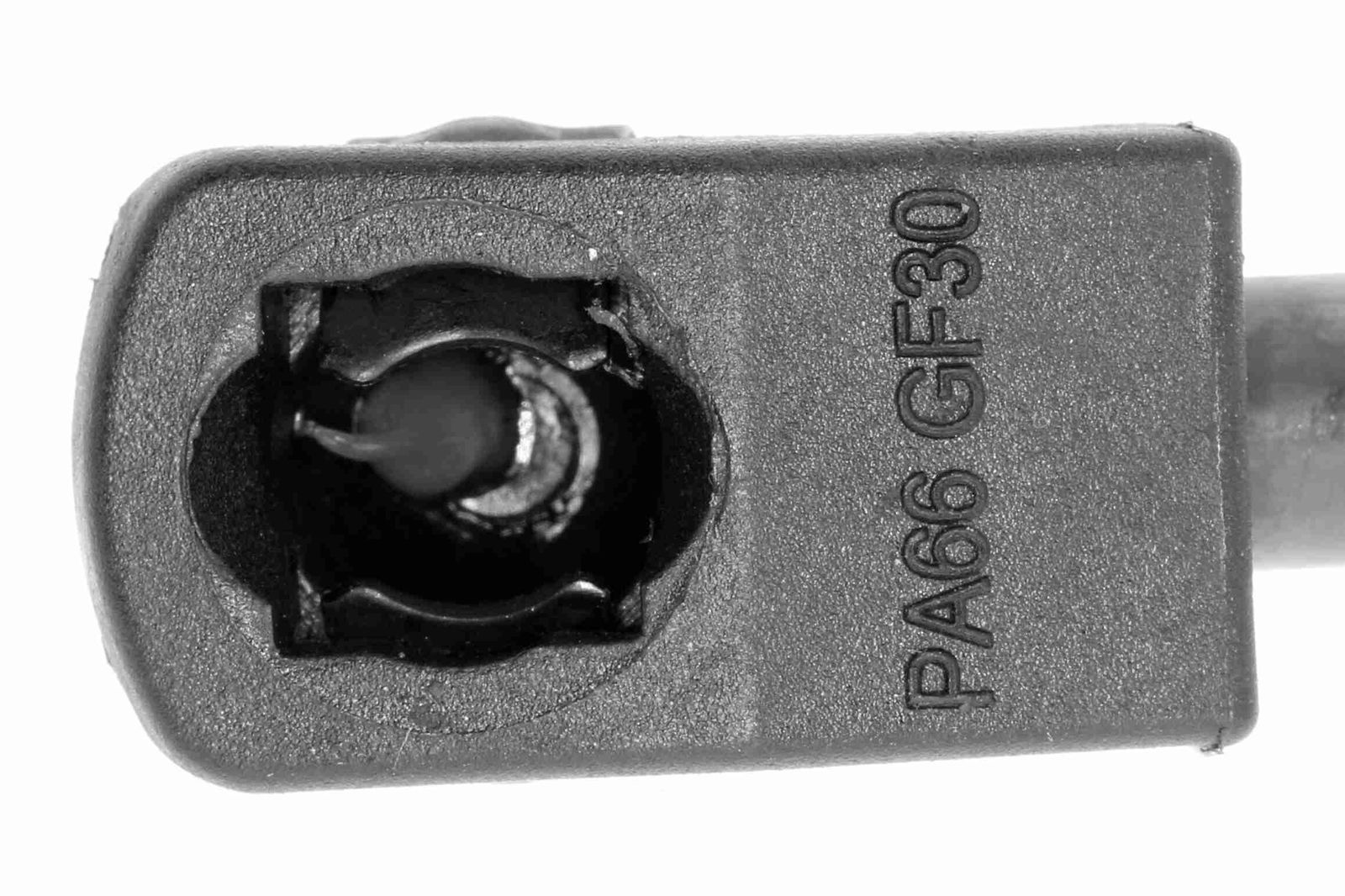 Gas Spring, bonnet-2