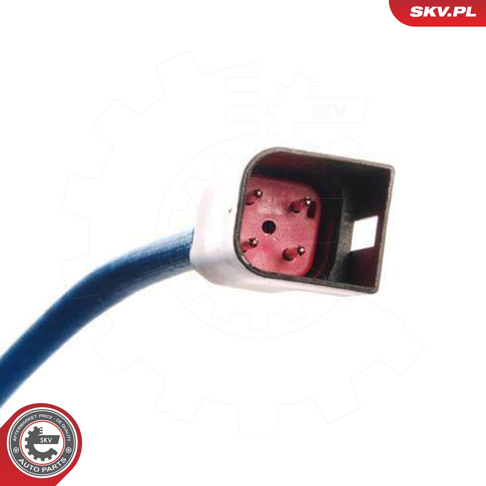 Oxygen Sensor-1