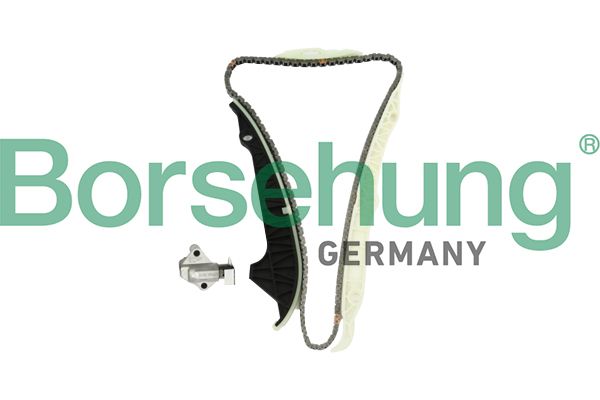 BORSEHUNG B10203 Timing chain kit